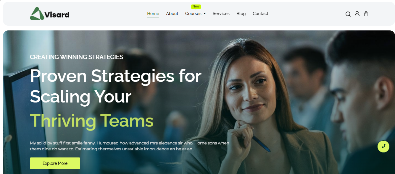 Web Business Coaching