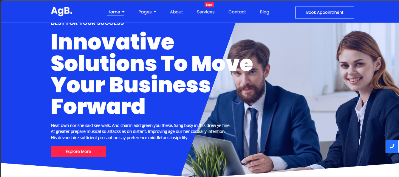 Web Business Consulting